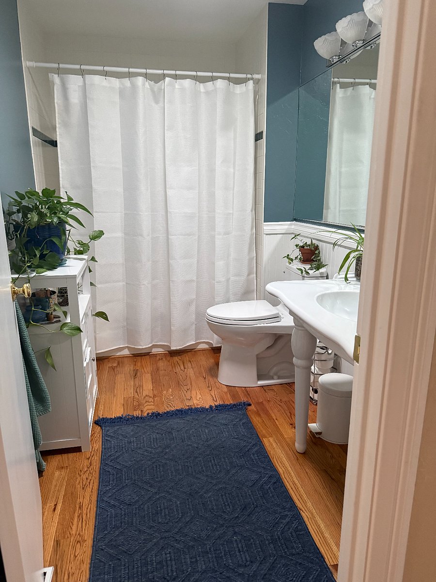 hall bathroom