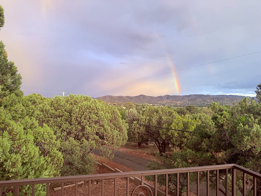 view from deck