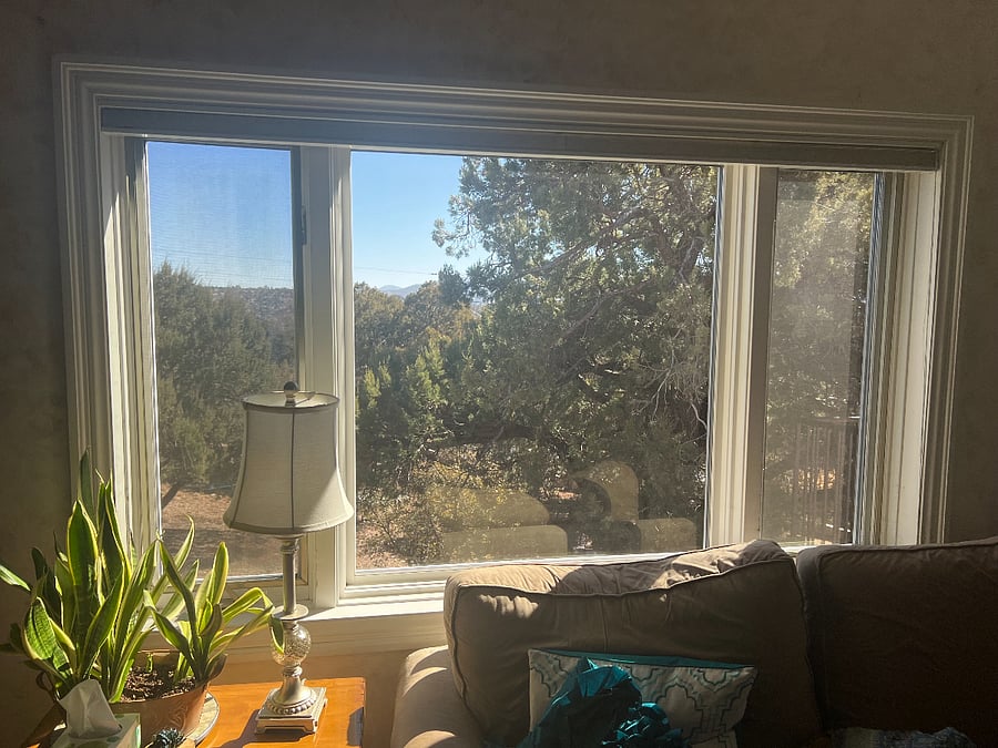 view from living room