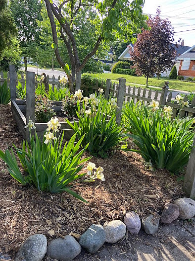 Furnished Finder property 1004955_1 photo 8