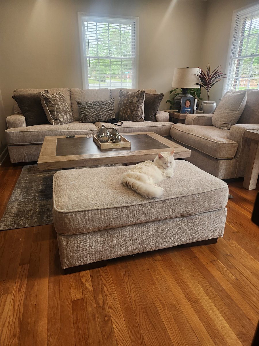 Furnished Finder property 1004961_1 photo 6