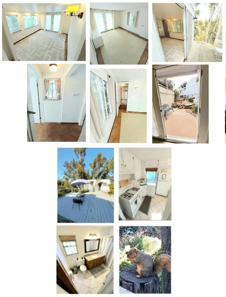 Furnished Finder property 1004969_1 photo 3