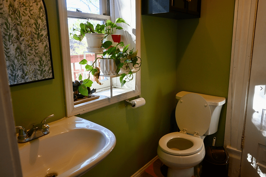Green bathroom has backyard view, bath and shower. 