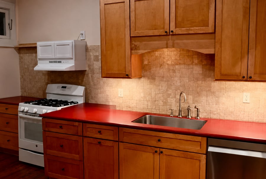 Kitchen with heritage gas stove, all new stainless steel dishwasher and refrigerator, and small appliances including electric kettle.