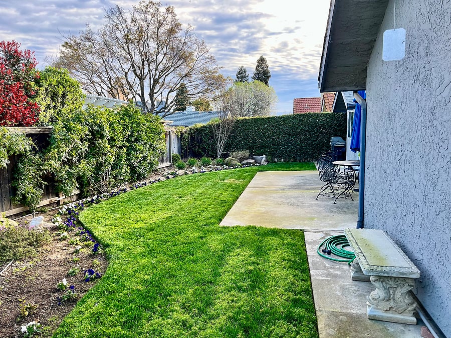 Furnished Finder property 1005018_1 photo 35
