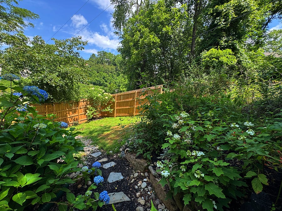 Fenced in backyard