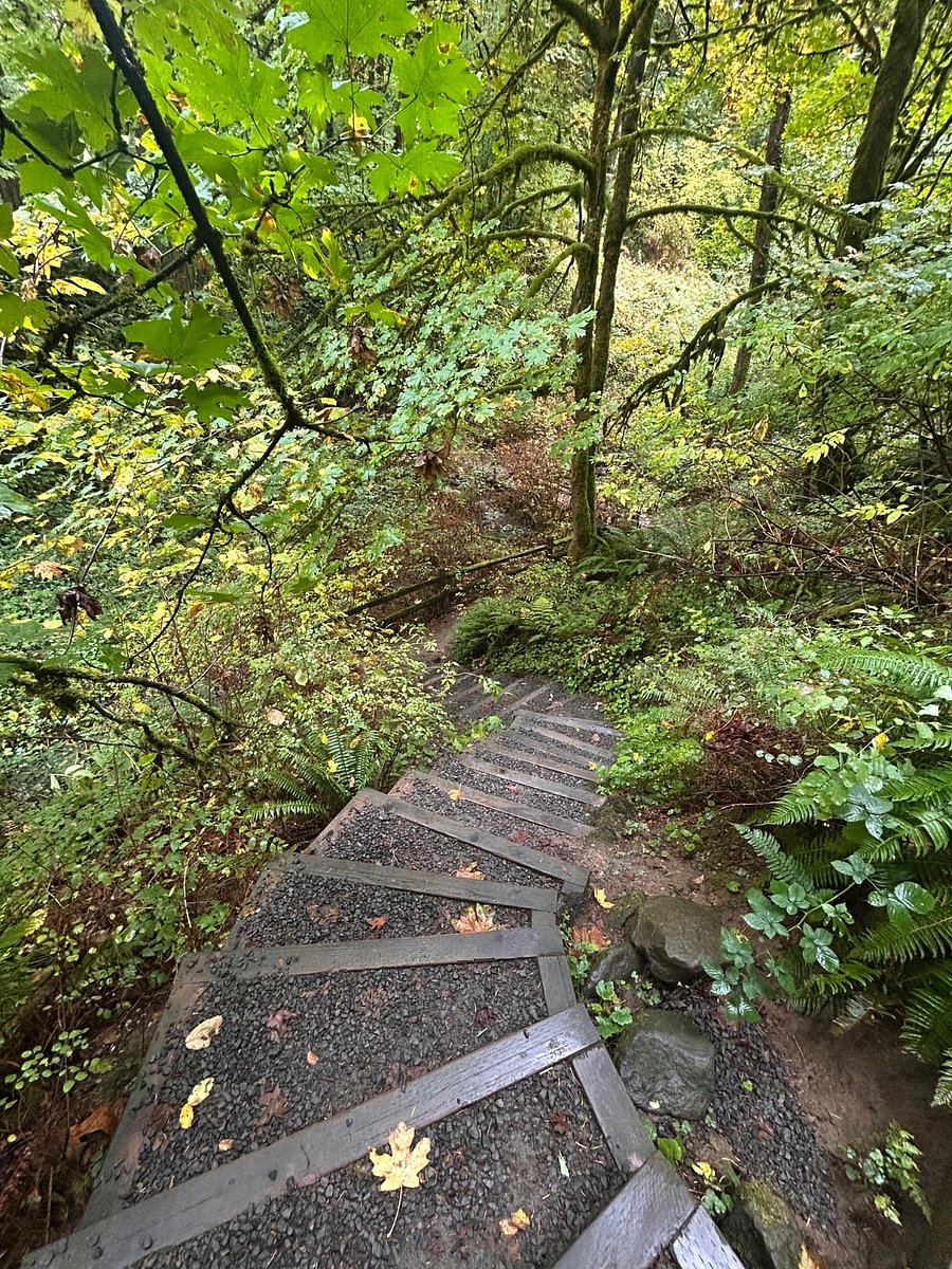 Steps into Memorial Woods Nature Area, within minutes from home.