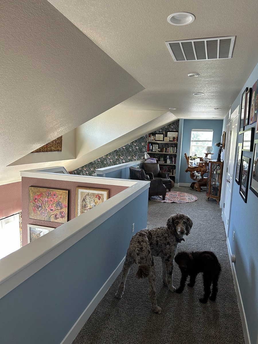 Library Loft flex space. My work from home office is down the hall.