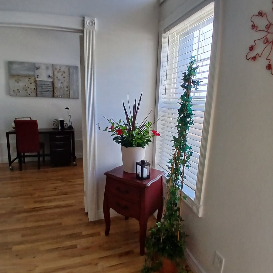 Furnished Finder property 1005248_1 photo 3