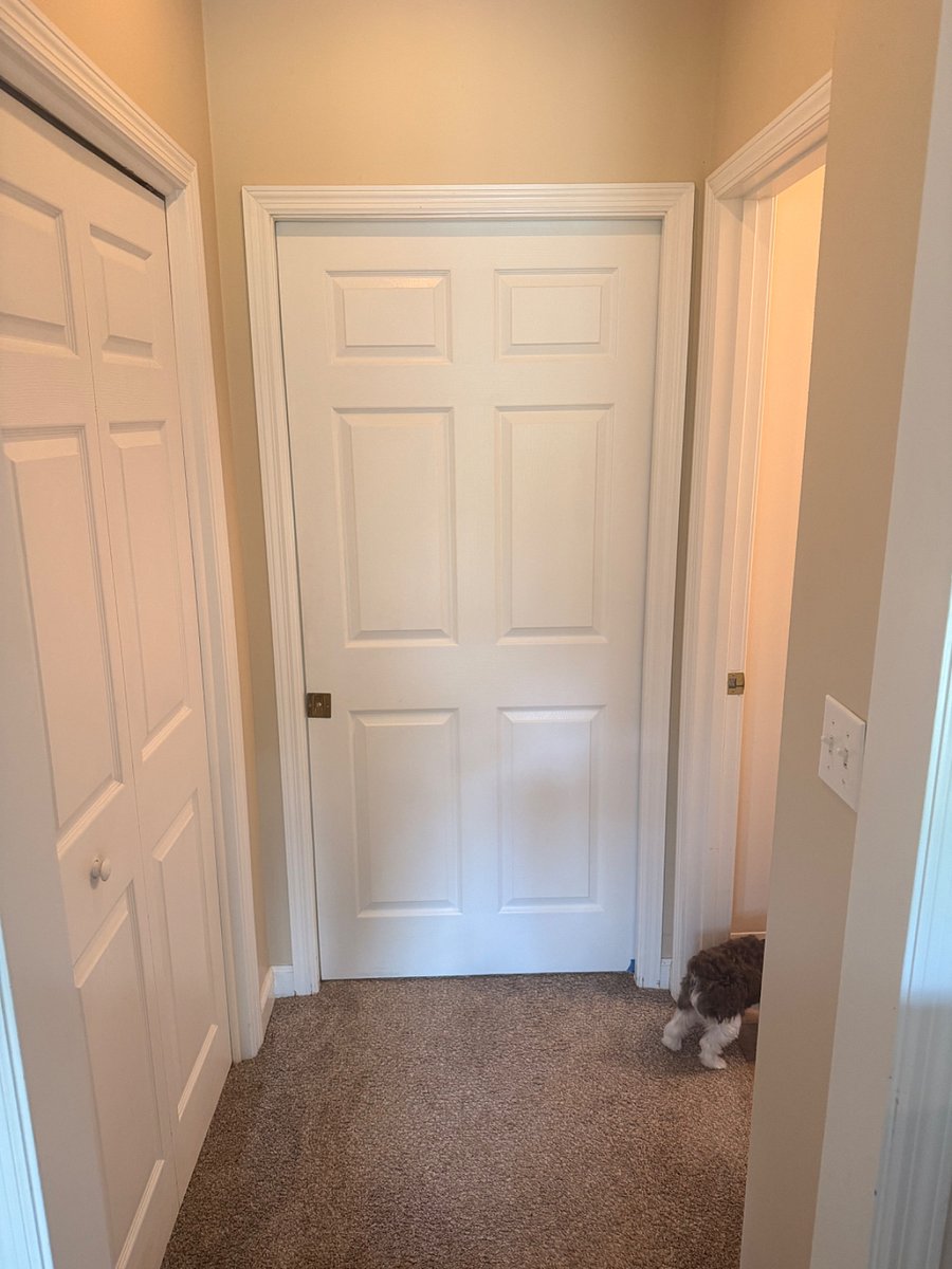 Furnished Finder property 1005296_1 photo 15