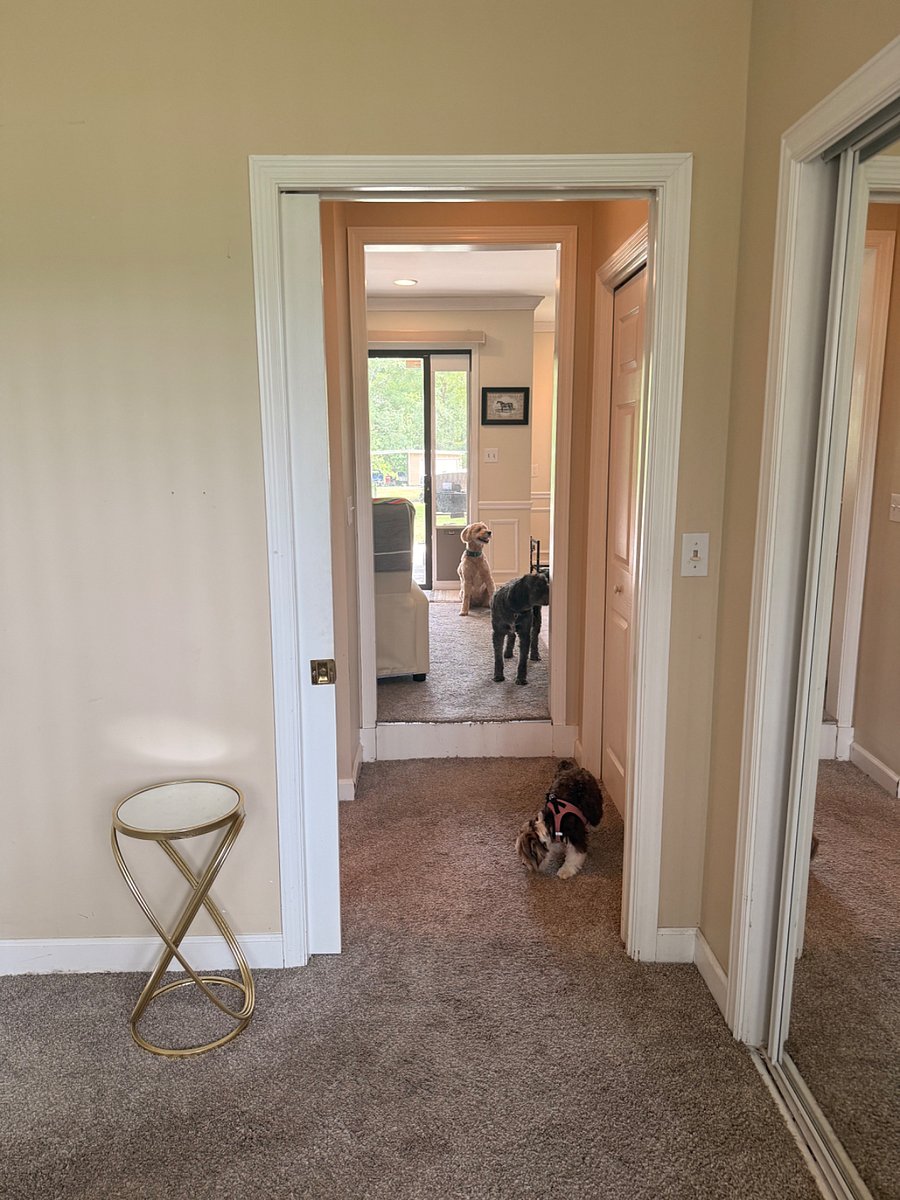 Furnished Finder property 1005296_1 photo 16