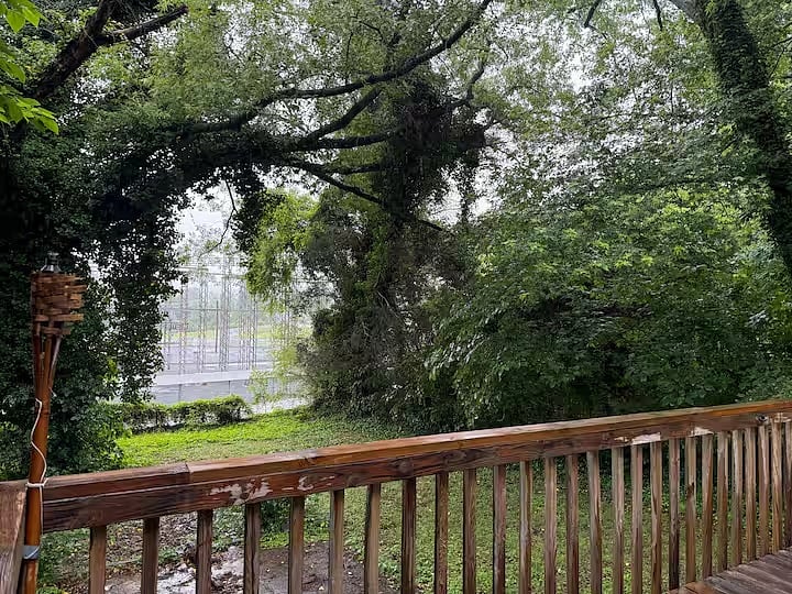 Backyard - View from deck