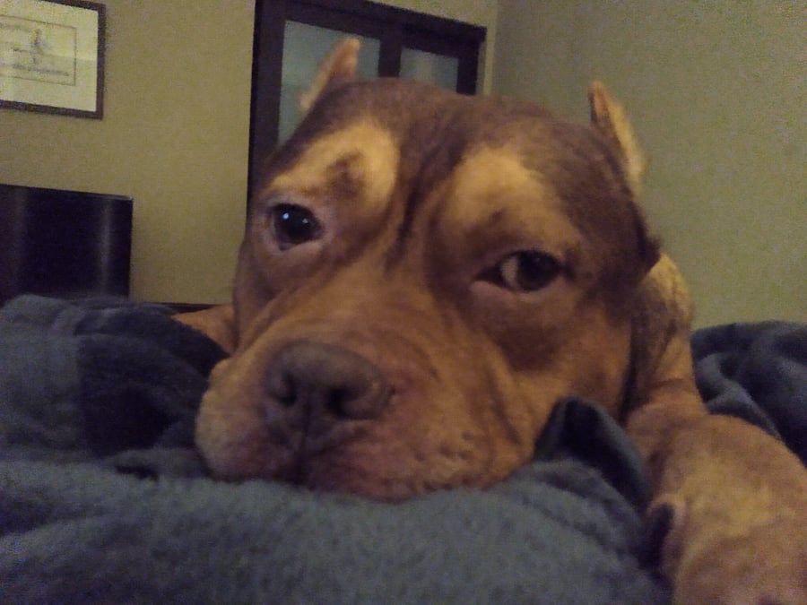 Max