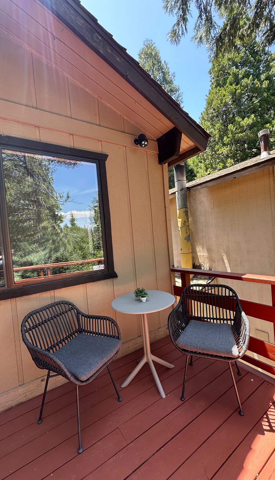 Deck Upper Level with Surrounding Mature Trees