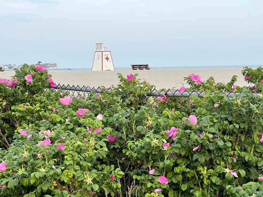 Private beach with seasonal lifeguards