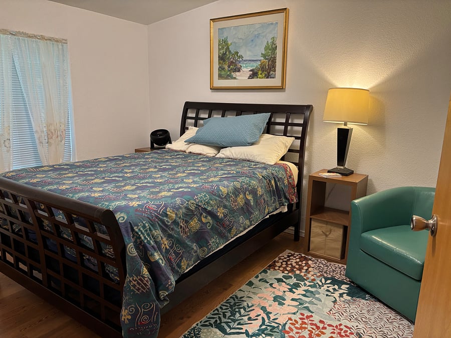 Queen bed, leather armchair, walk in closet