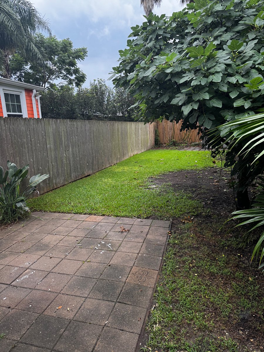 Furnished Finder property 1005461_1 photo 10