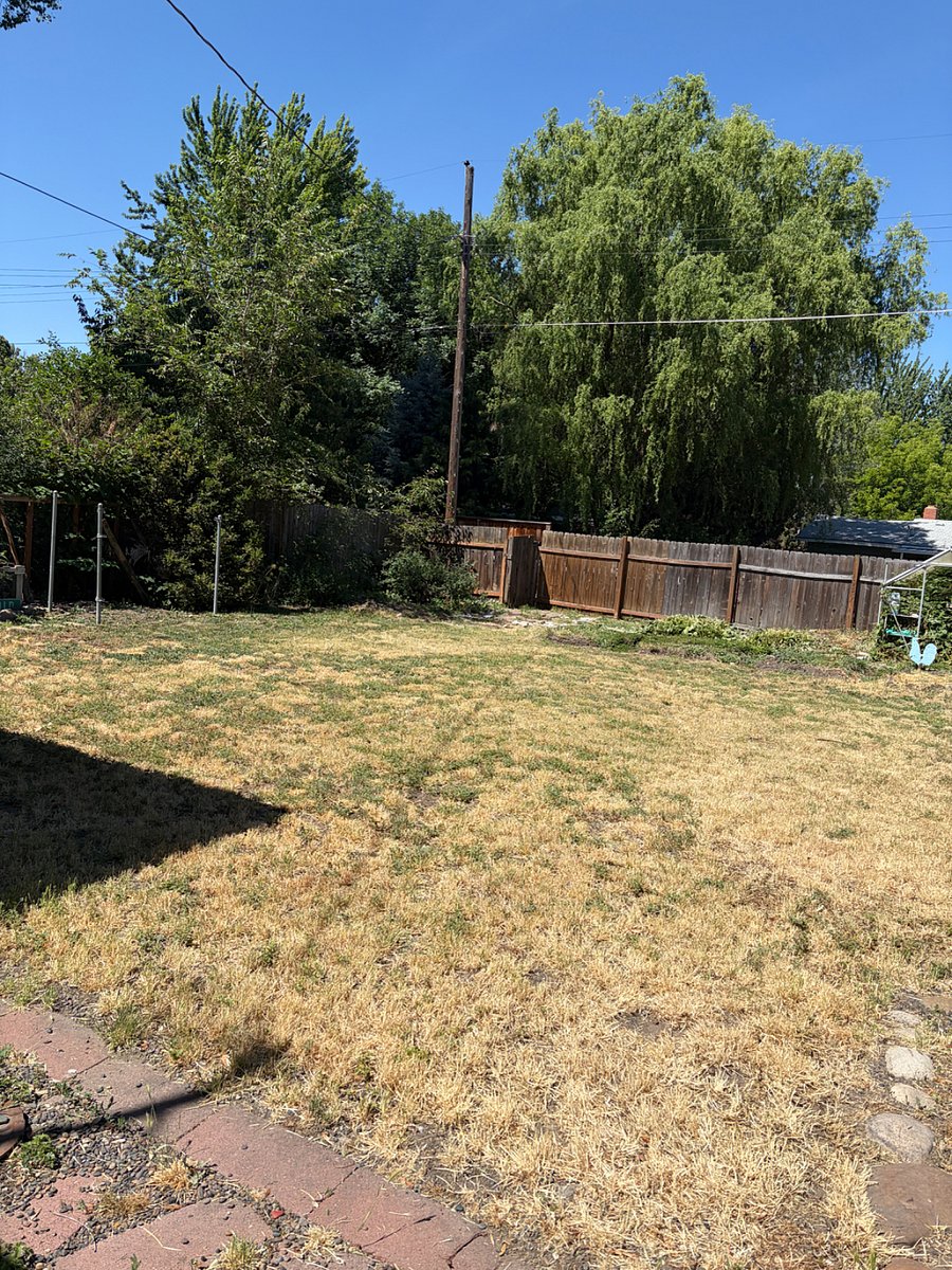 Furnished Finder property 1005464_1 photo 14