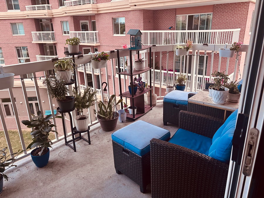 Furnished Finder property 1005546_1 photo 17