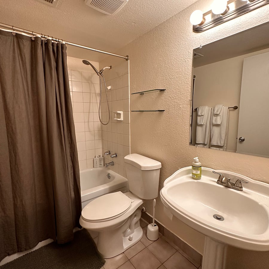 Hallway Bathroom 