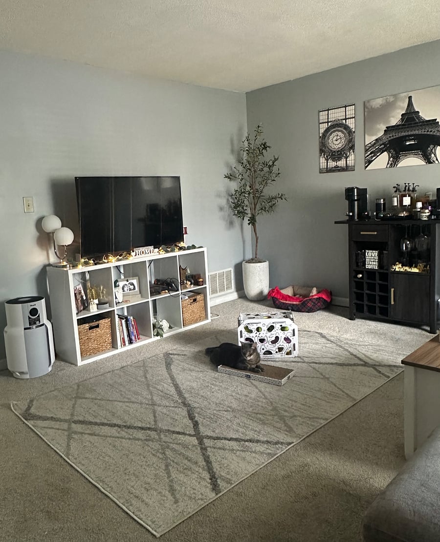 Furnished Finder property 1005763_1 photo 6