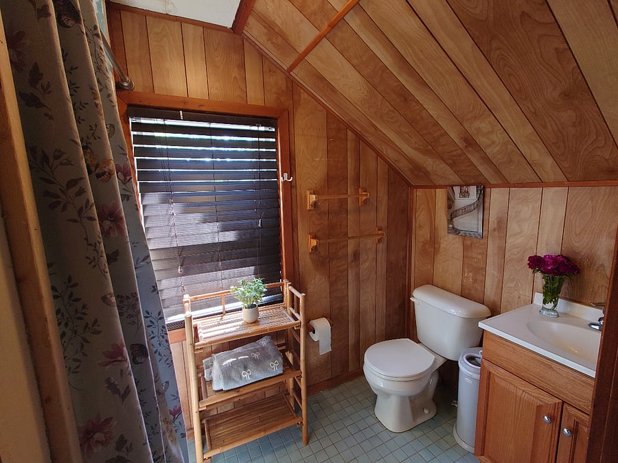 Upstairs suite bathroom