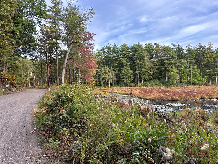 Local gravel road overlookiong conserved land. Much conservation land right out the back door.