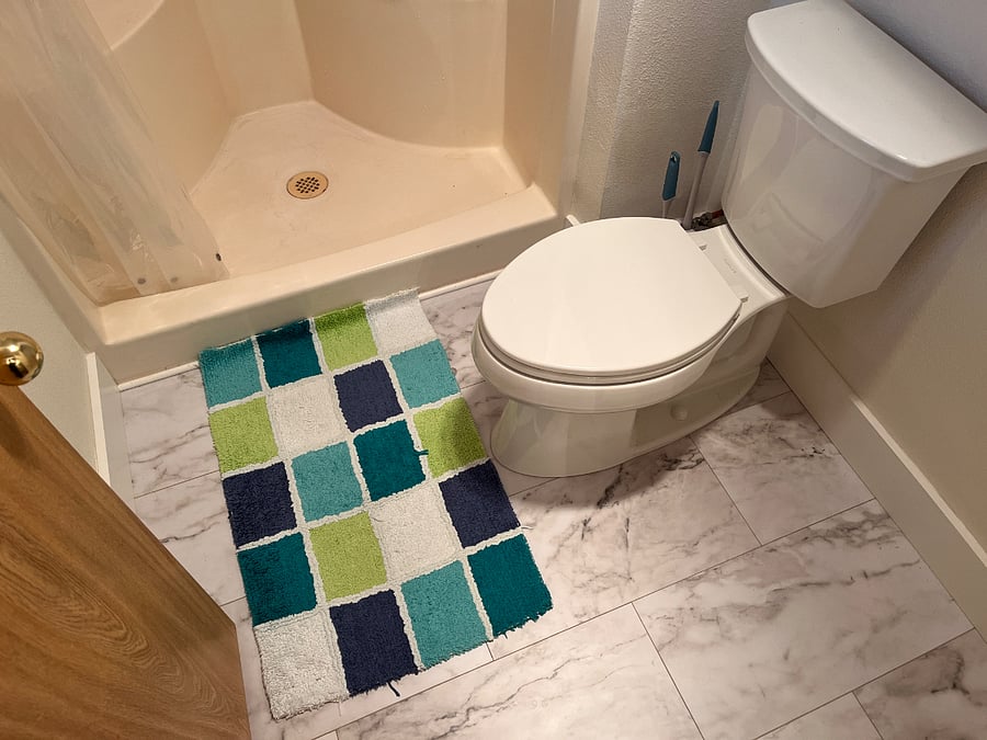Master bath, brand new flooring and toilet