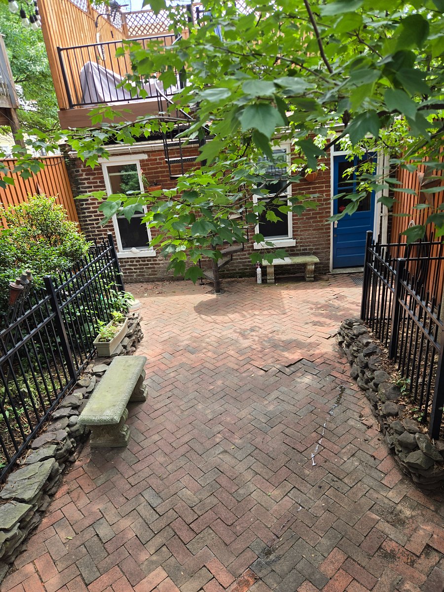 back yard view to garage