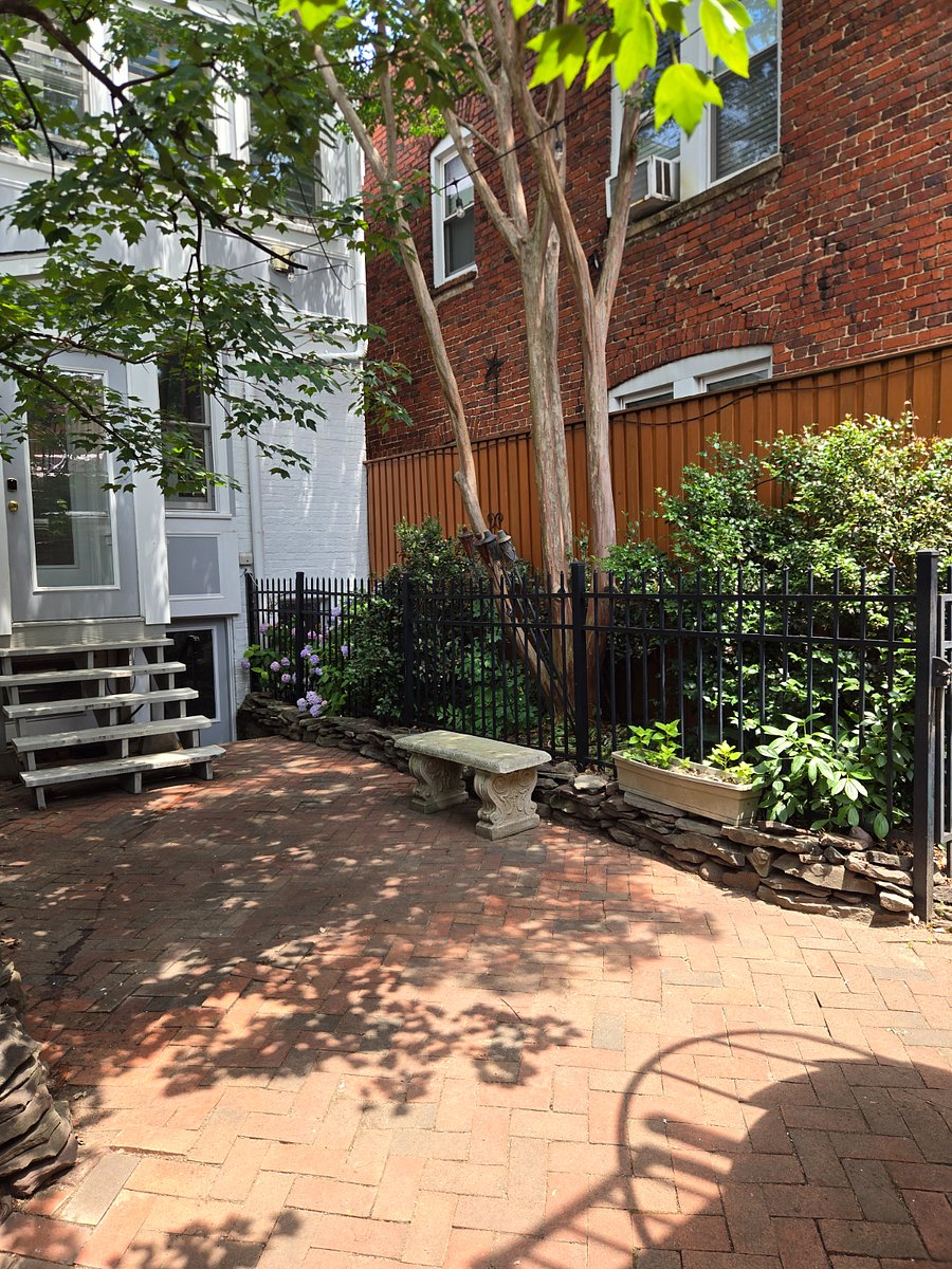 backyard to house