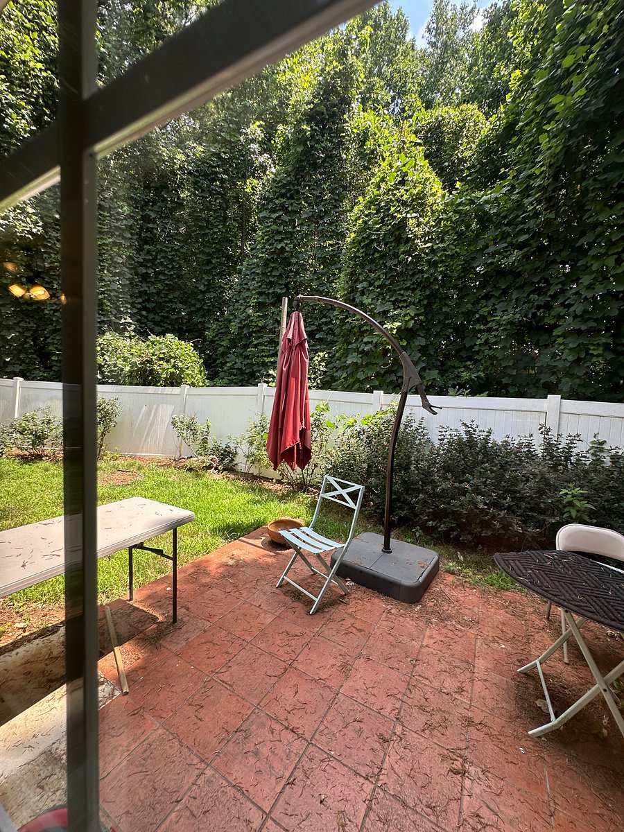 Fenced yard
