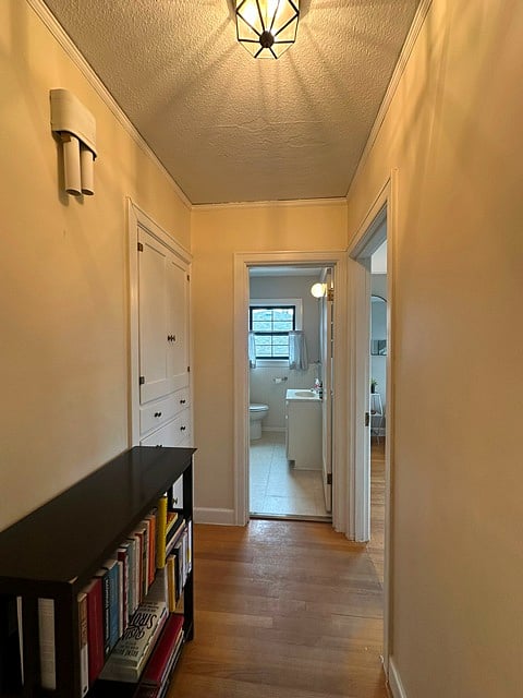 Hall to main floor 1/2 bathroom/bedroom