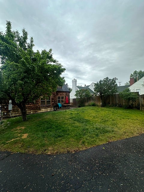 Back yard area