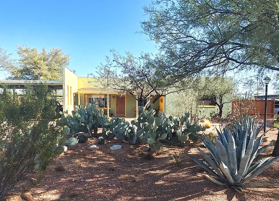 Street view front. The property sits back from the street with natural desert landscape and native trees in front.