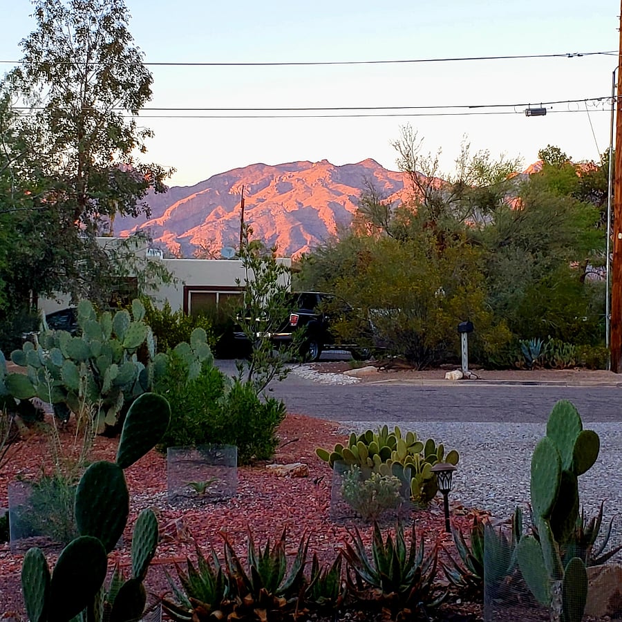 Highlights from the property. Looking north. Catalina mountains at sunset.