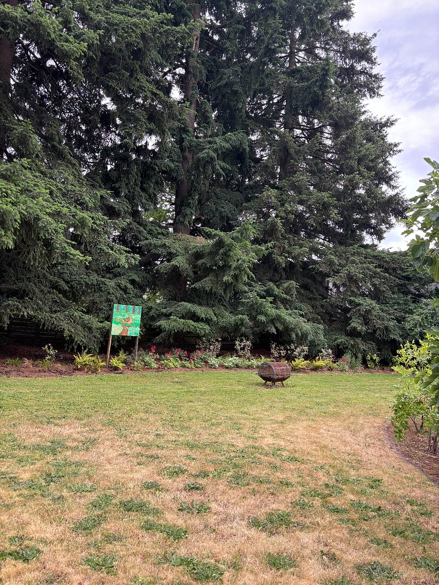 Large backyard with fireplace