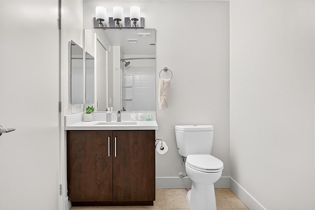 Furnished Finder property 1006142_1 photo 23