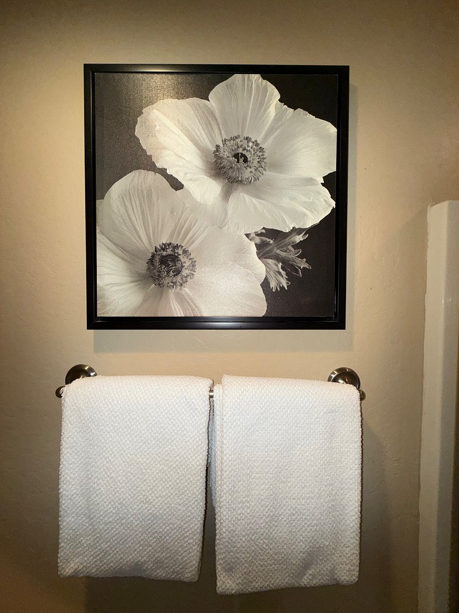 Furnished Finder property 1006162_1 photo 7