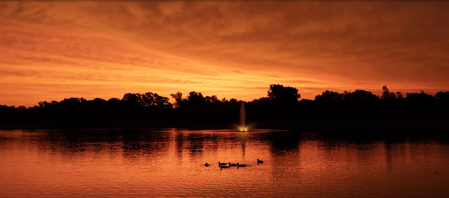Ponds feature lit water features, ducks, geese, cranes and the occasional bald eagle who nests nearby.