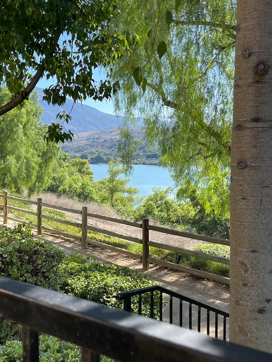 Furnished Finder property 1006198_1 photo 13