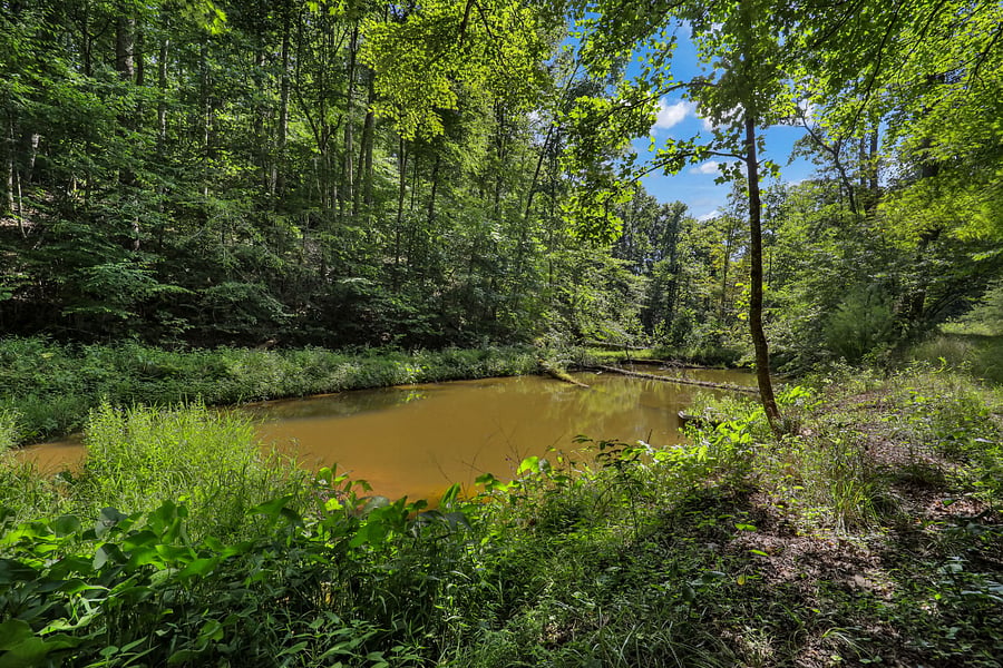 Pond