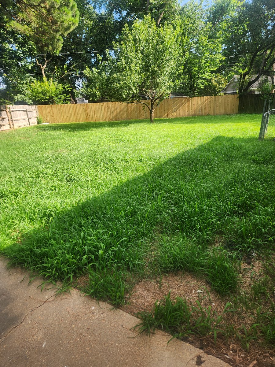 Furnished Finder property 1006293_2 photo 7