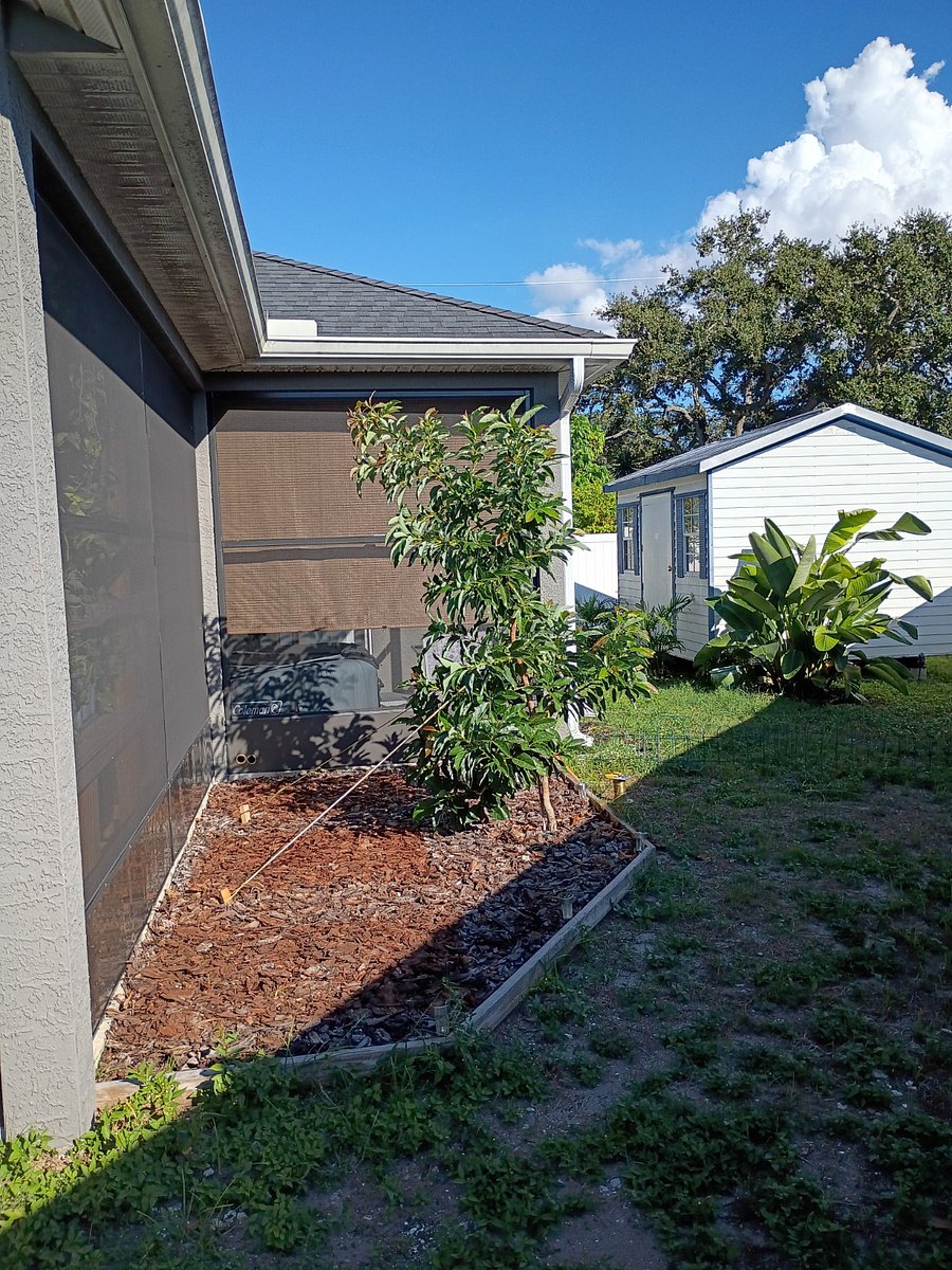 Furnished Finder property 1006340_1 photo 17