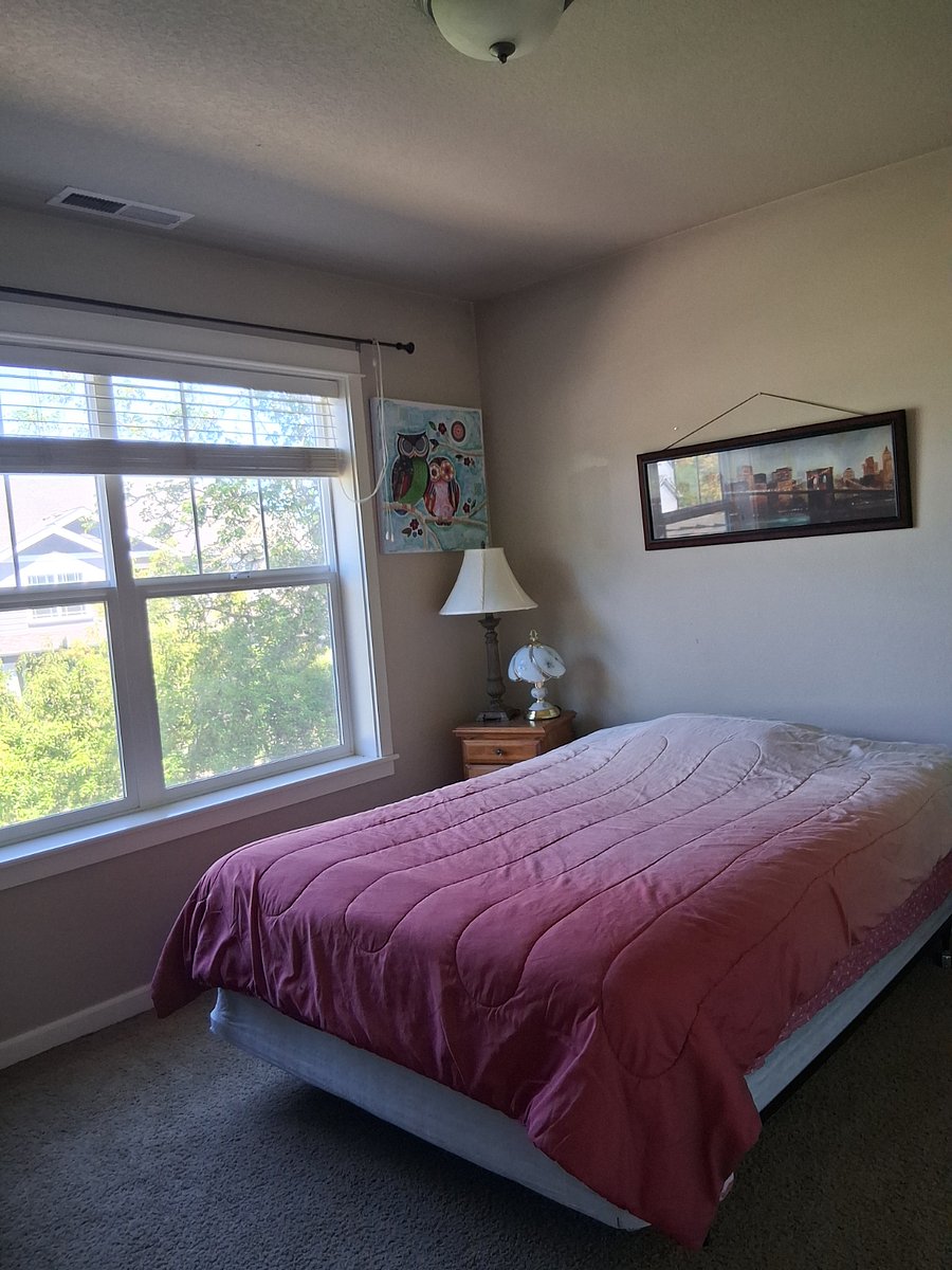 Furnished Finder property 1006380_1 photo 10