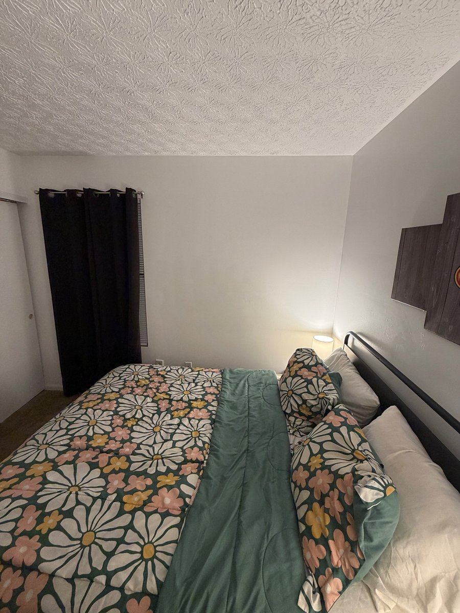 Furnished Finder property 1006472_1 photo 13