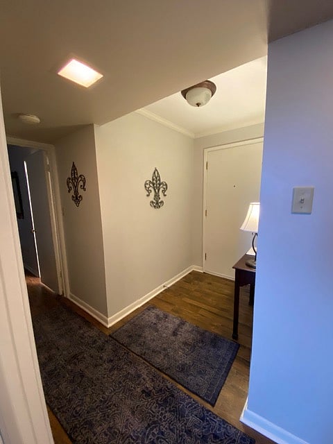 Furnished Finder property 1006485_1 photo 7