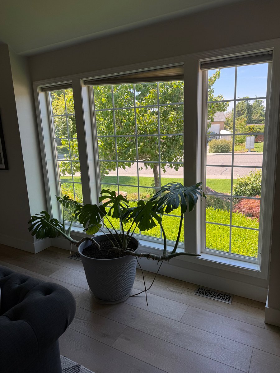 Furnished Finder property 1006512_1 photo 12