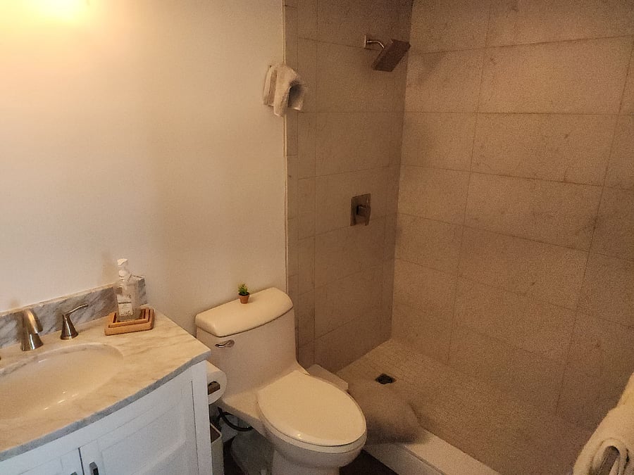 Bedroom with large walk in shower and new toilet and vanity