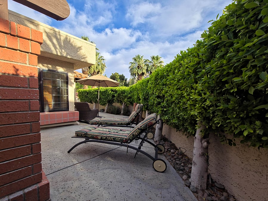 Back patio lounge.