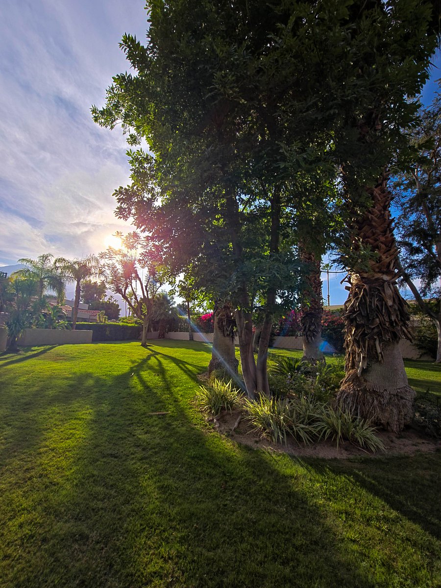 Community backyard. Direct access is provided through gate off the back patio.